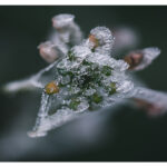 XH016140-Bearbeitet