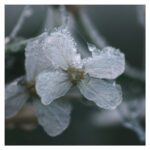 XH016146-Bearbeitet