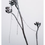XH016164-Bearbeitet