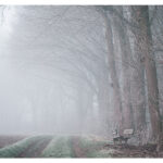 XH016214-Bearbeitet-Bearbeitet